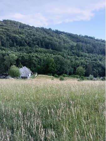 Traumhaftes Grundstück nahe Neulengbach/Altlengbach