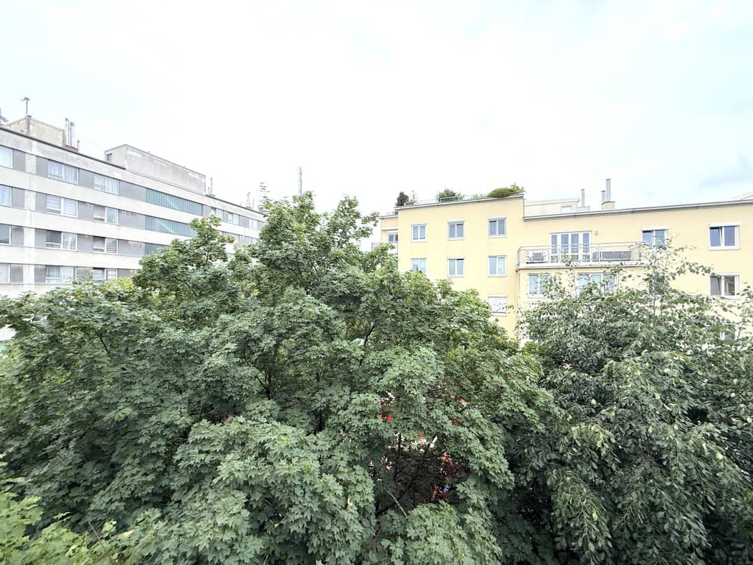 Immobilienbild 3