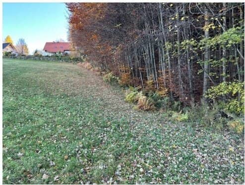 Grundstück über 5.500m2 zum Top-Preis