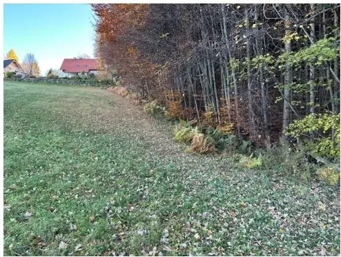 Grundstück über 5.500m2 zum Top-Preis