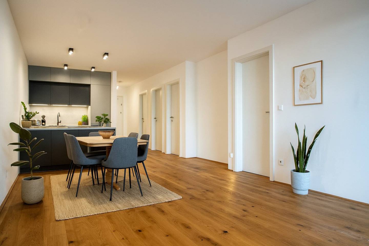 New build apartment Hatting with terrace view