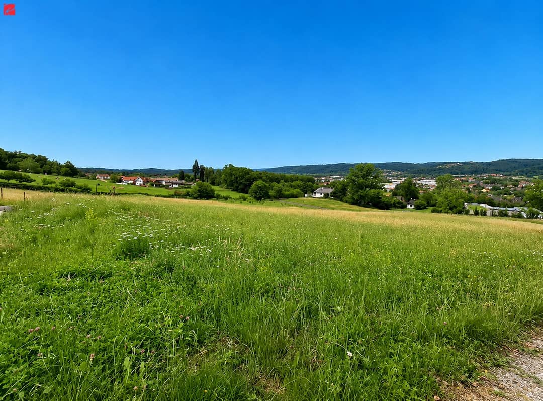 Immobilienbild 4
