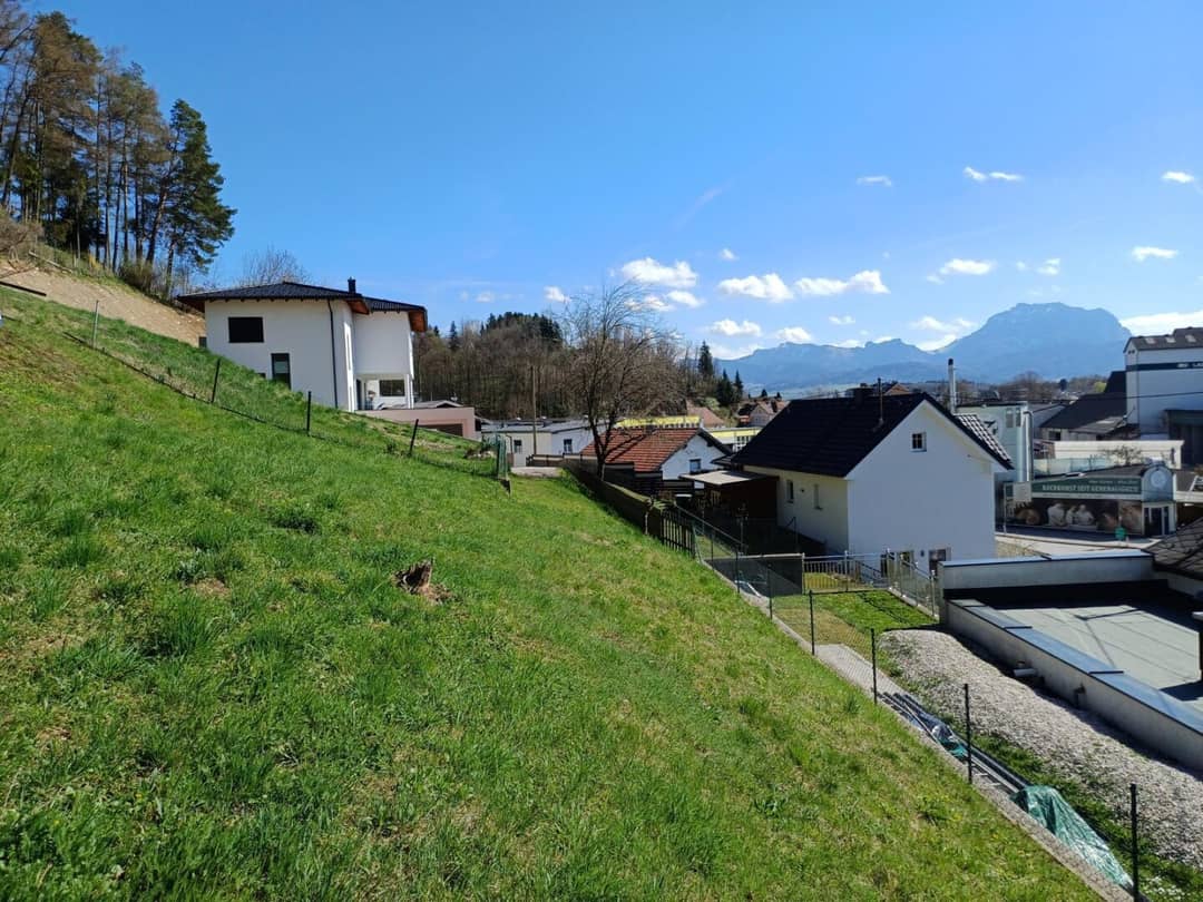 Immobilienbild 3