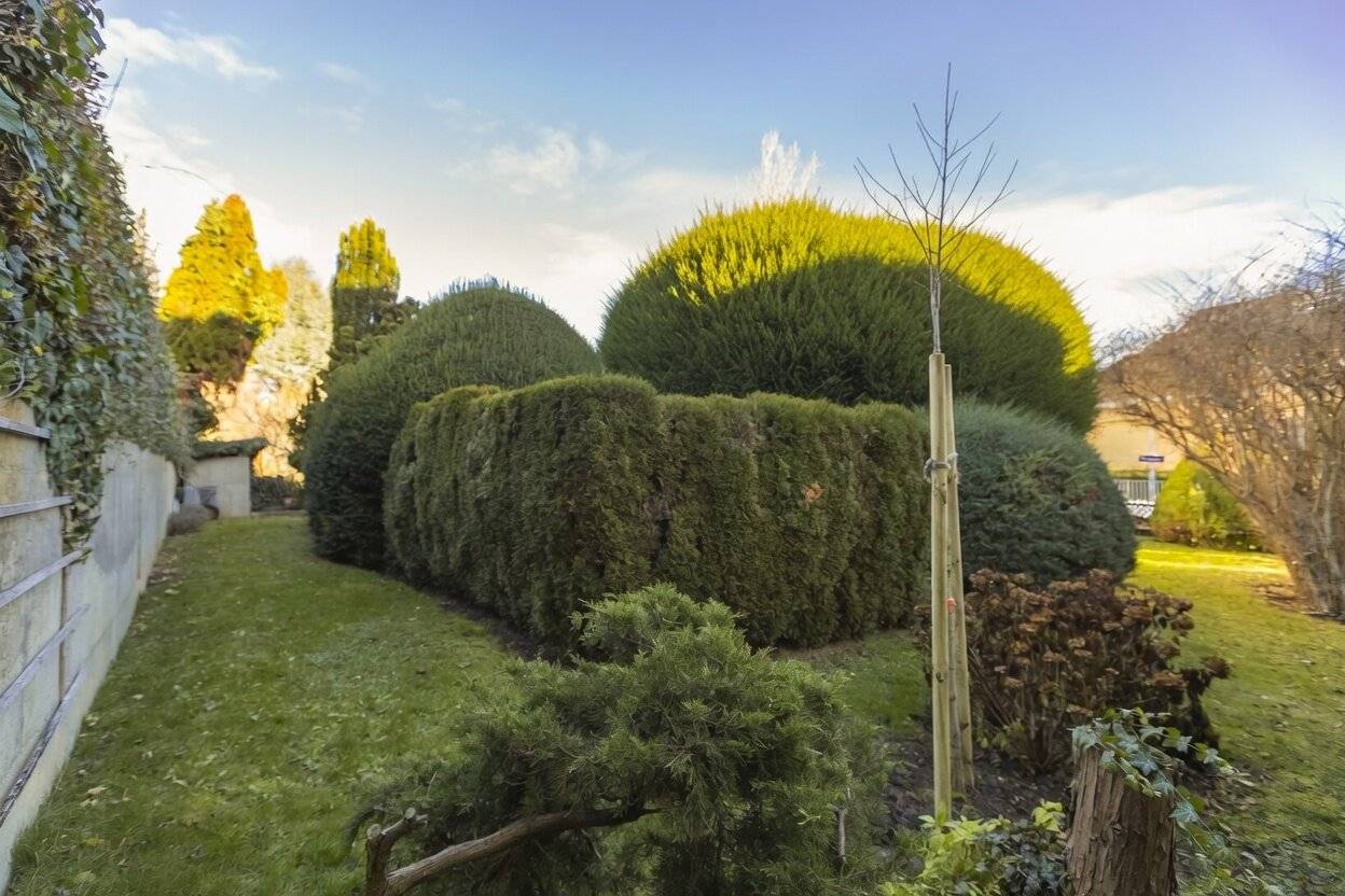 Baugrundstück mit Garten in Döbling
