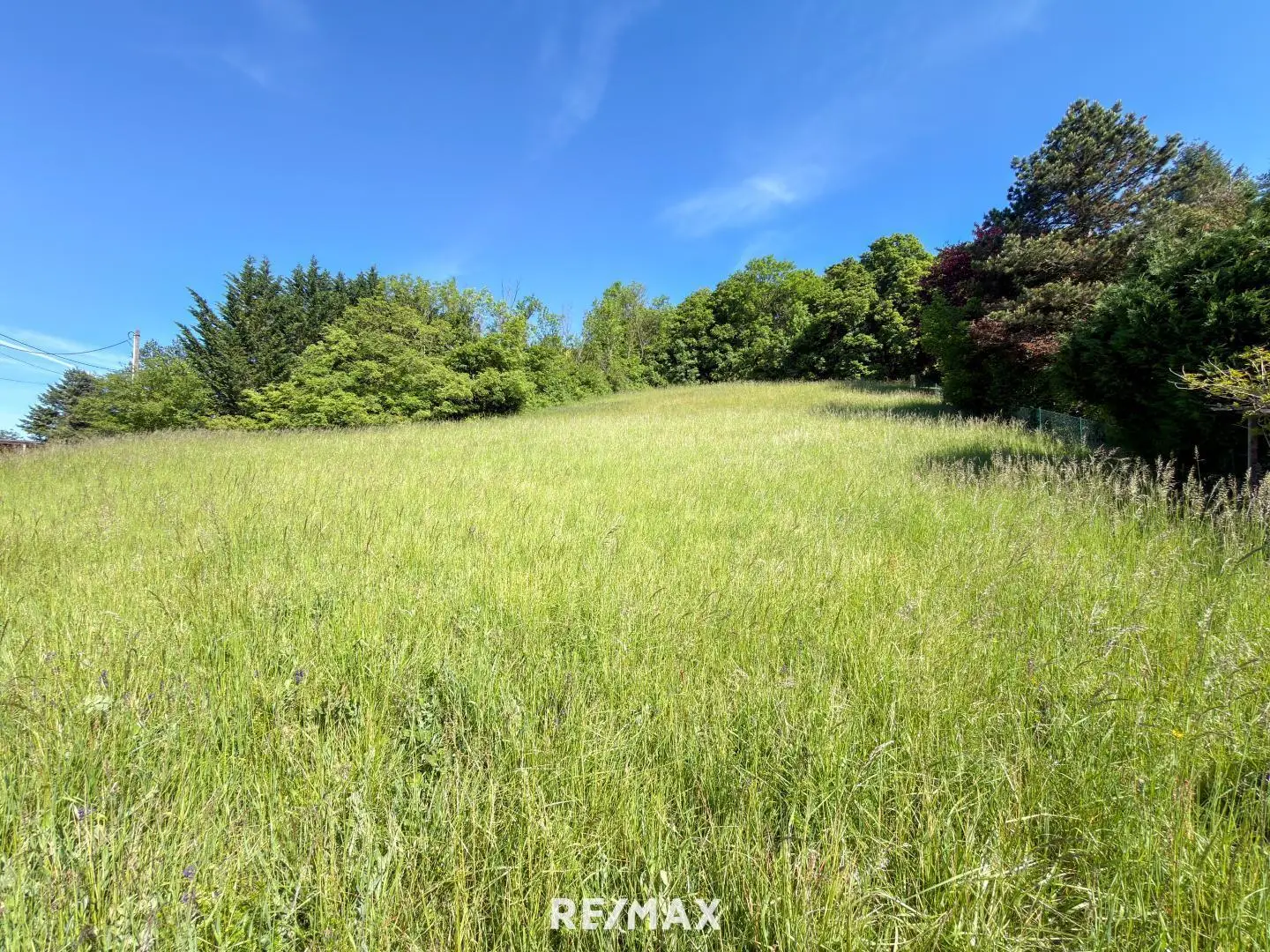 Bright apartment with unobstructed distant view in green surroundings
