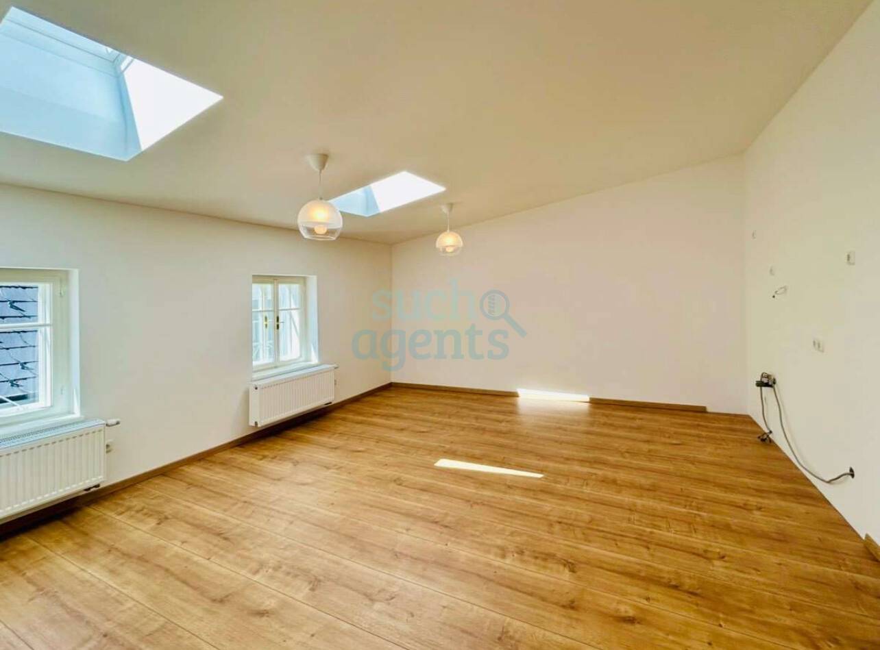 Attic apartment with roof terrace in old town