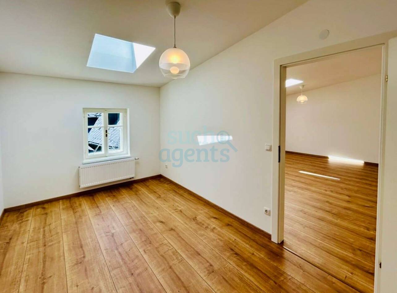 Attic apartment with roof terrace in old town