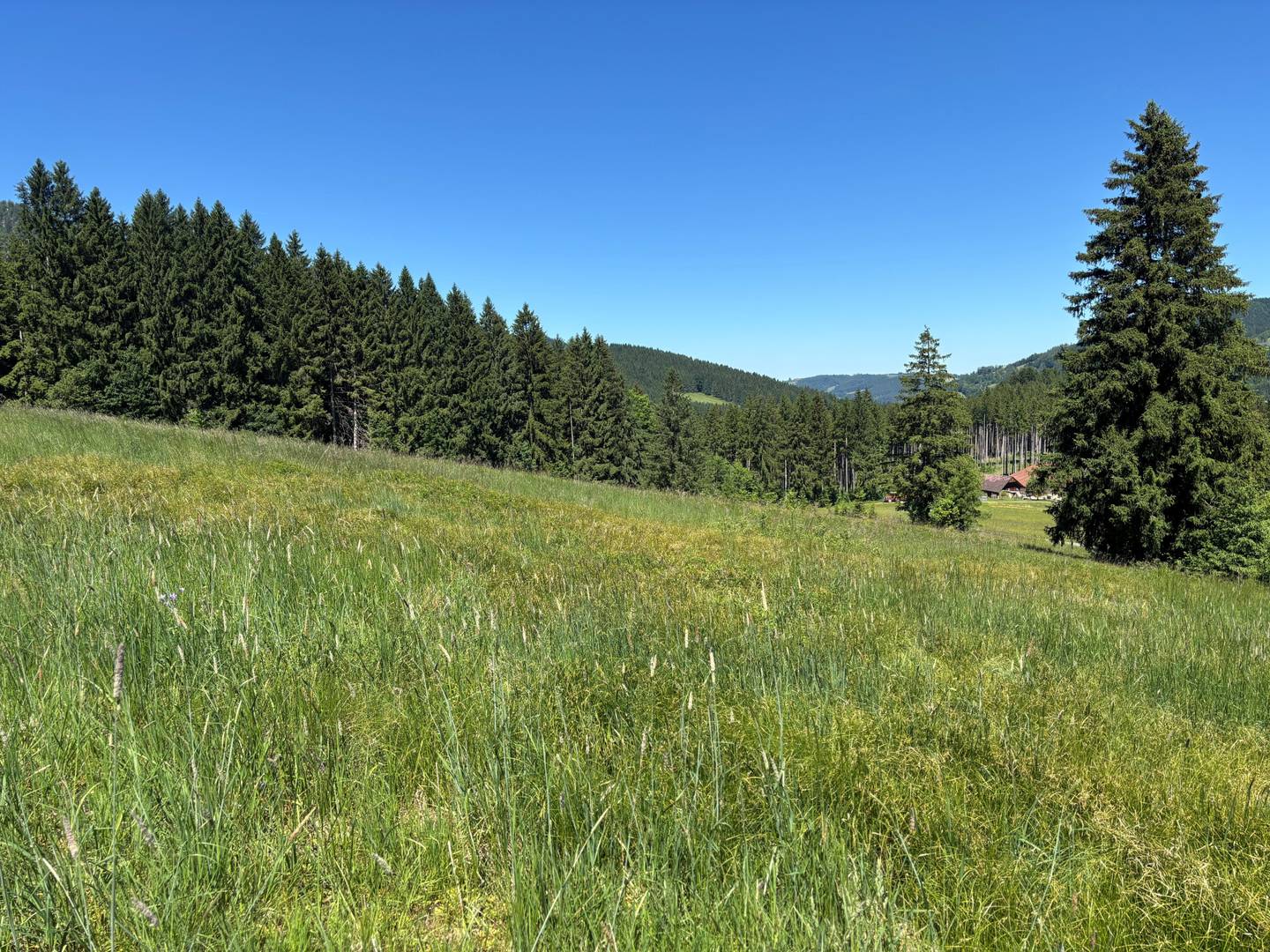 Grundstück in ruhiger Hanglage mit Ausblick