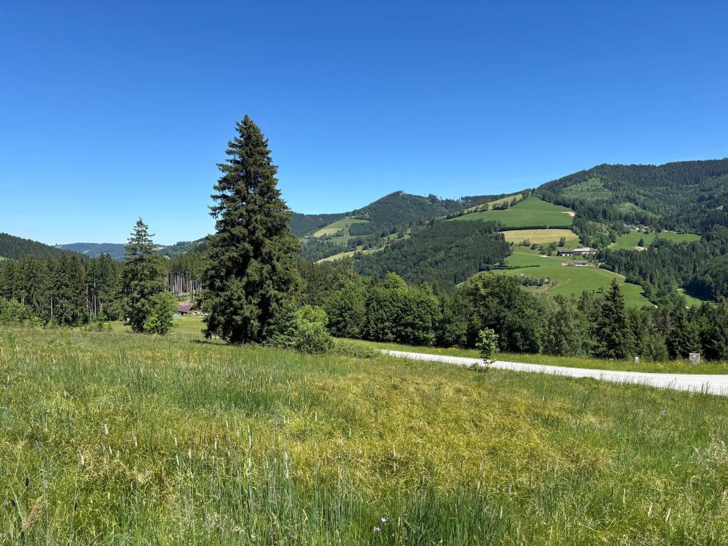 Grundstück in ruhiger Hanglage mit Ausblick