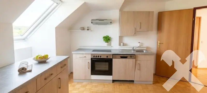 Investment apartment with existing tenancy