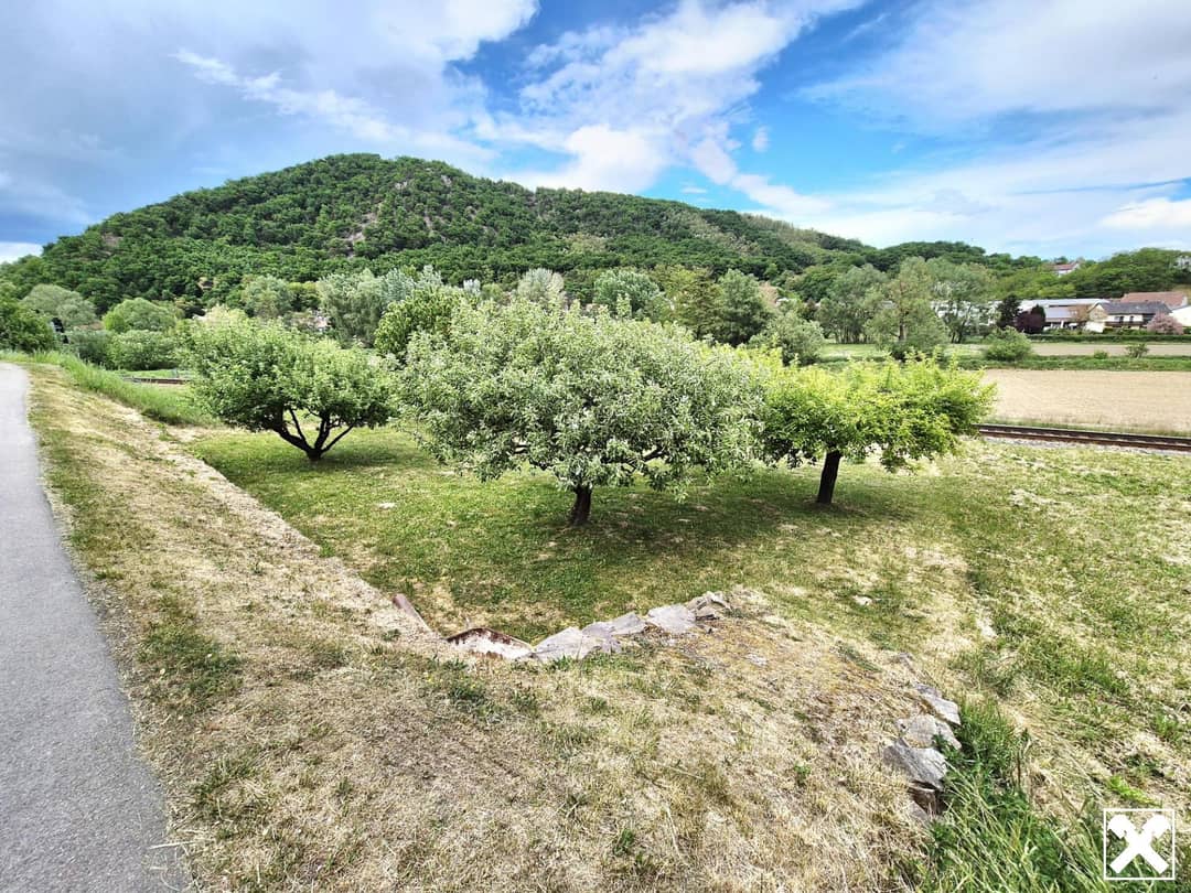 Garten I