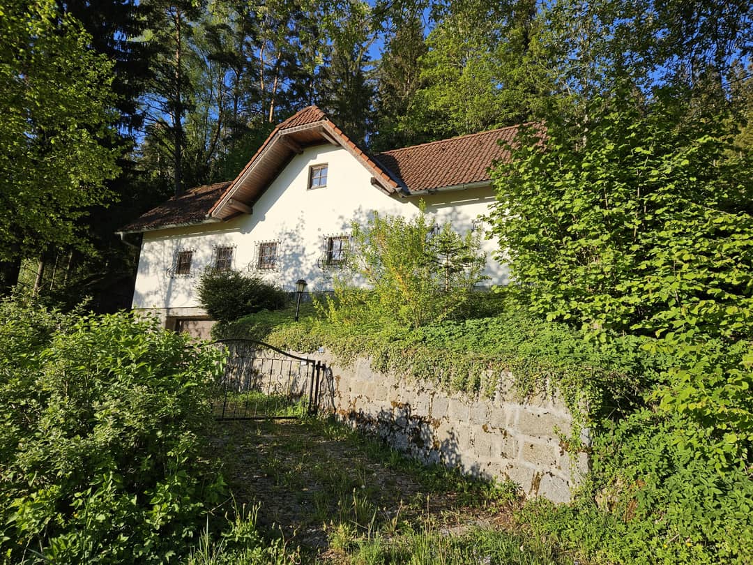 Immobilienbild 4