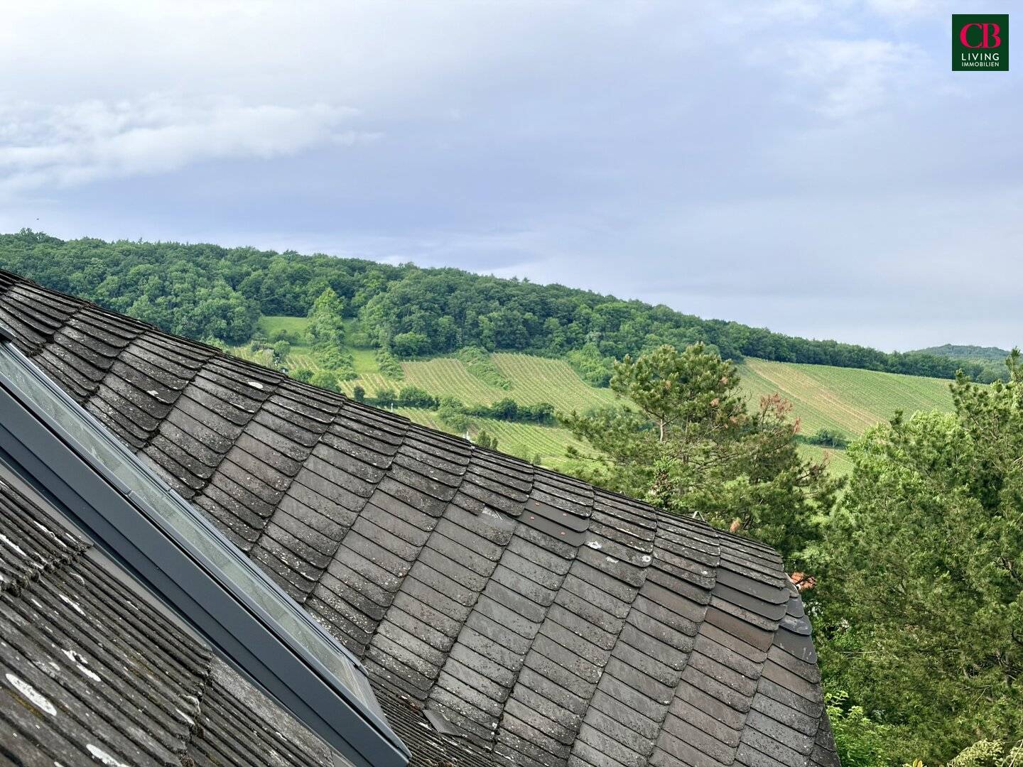Großzügige Villa mit Garten Pool und Weingartenblick in Neustift am Walde