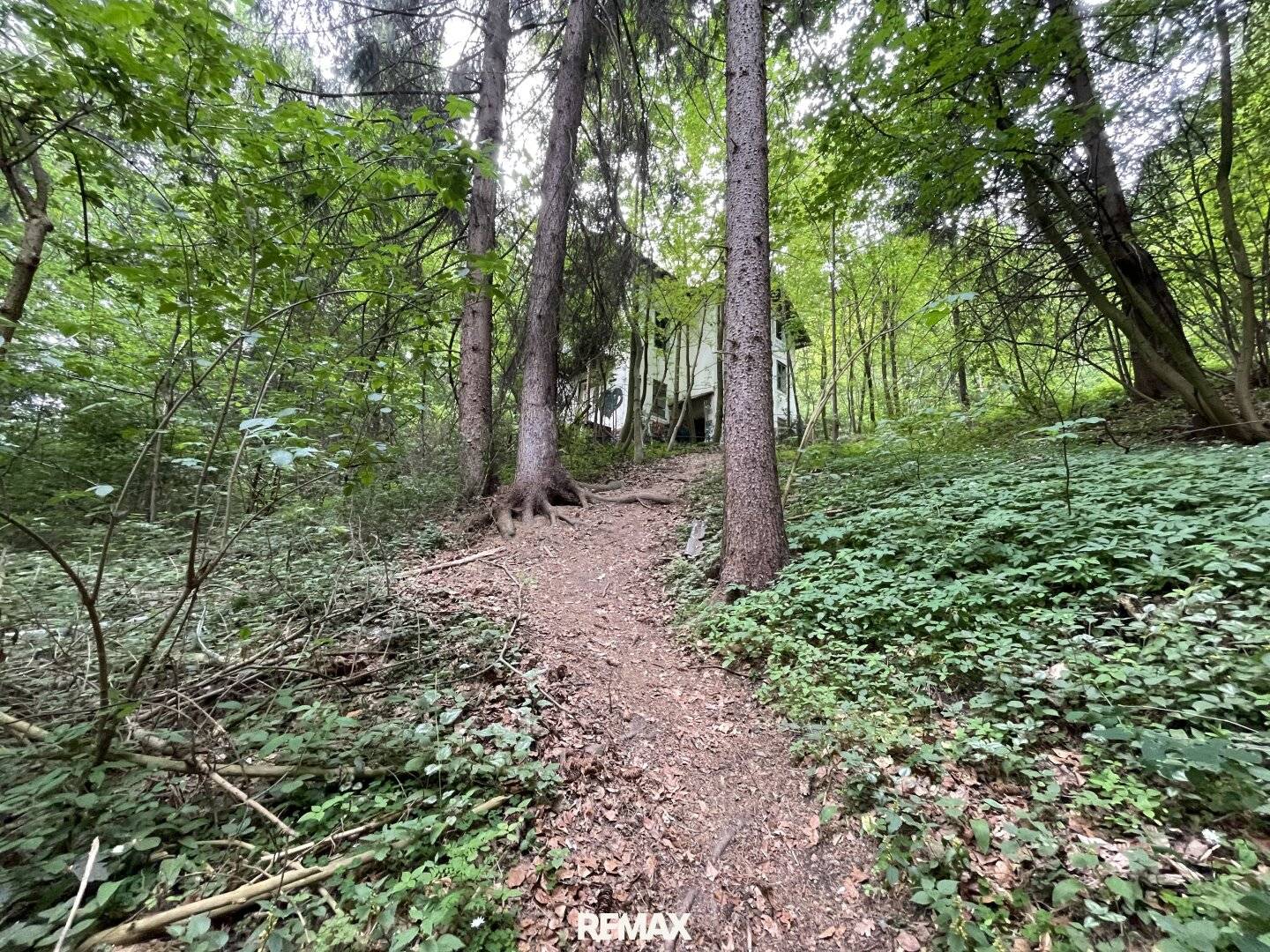 Waldgrundstück mit Altbestand in Amras