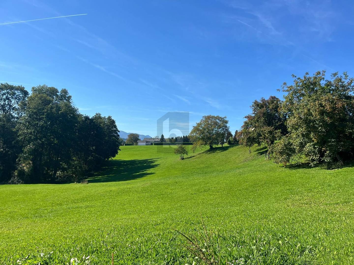 Sonniger Südhang mit unverbaubarer Aussicht Wohnung