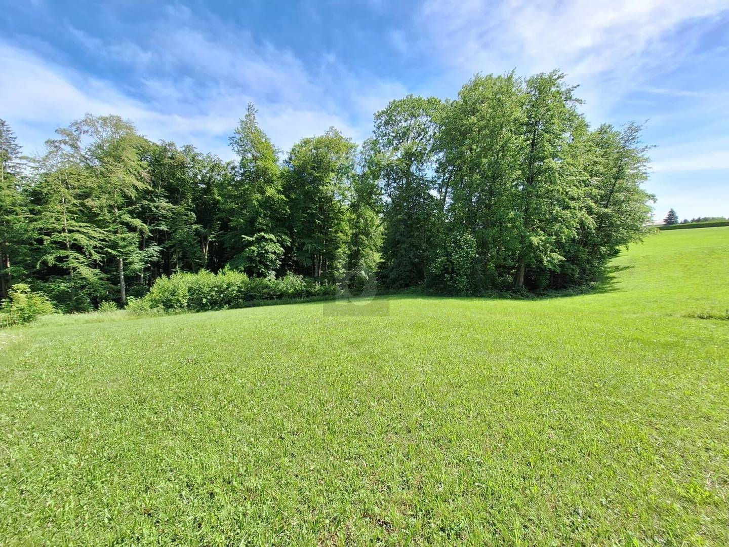Sonniger Südhang mit unverbaubarer Aussicht Wohnung