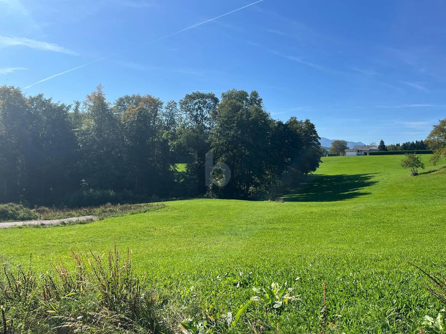 Sonniger Südhang mit unverbaubarer Aussicht Wohnung