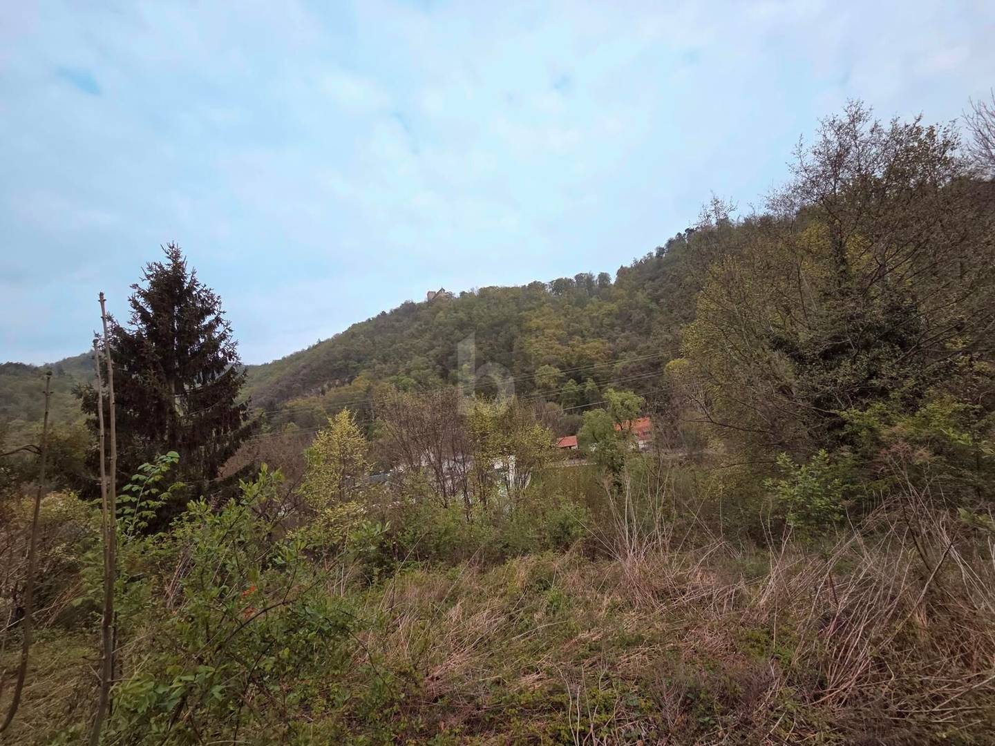 Quiet family apartment near nature ready to build