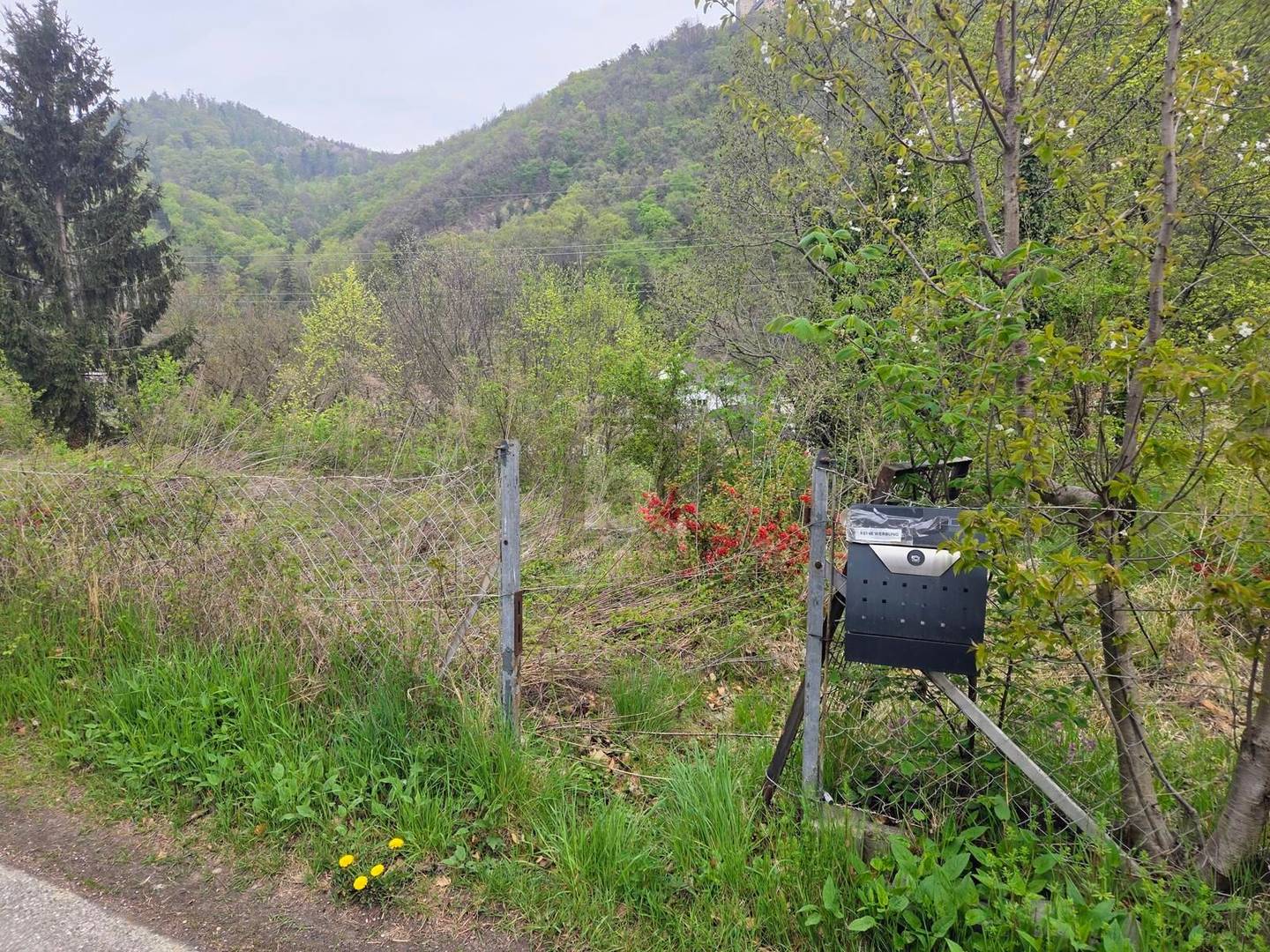 Quiet family apartment near nature ready to build