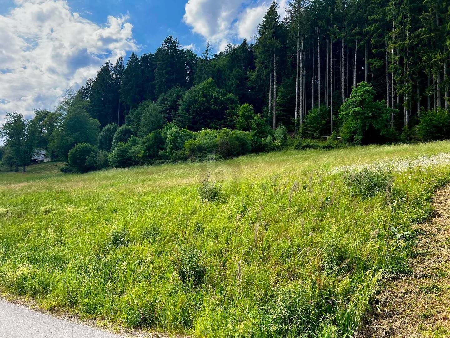 Sonnige ruhige Lage nahe Ortskern Familienwohnung