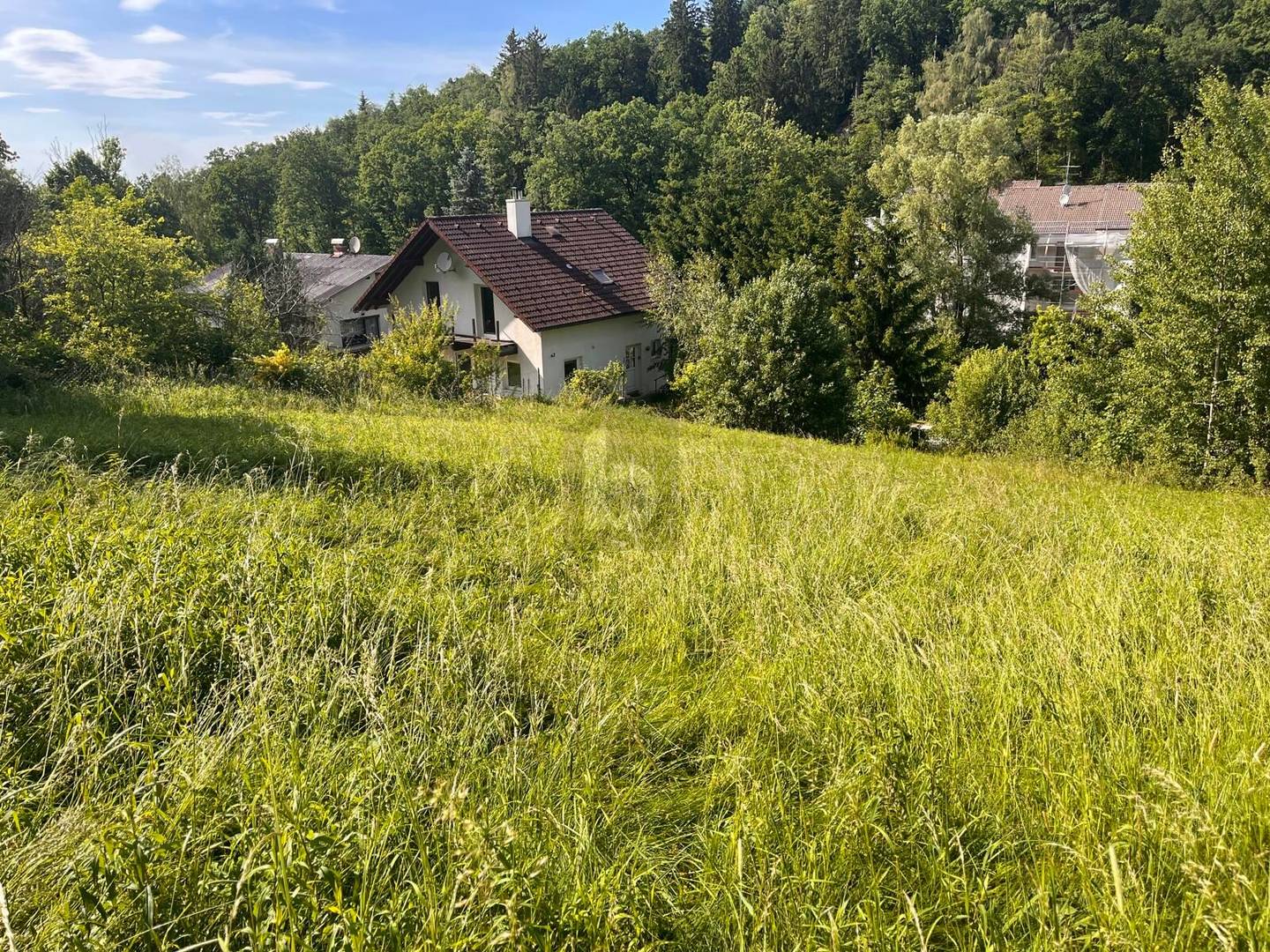 Familienwohnung in ruhiger Waldrandlage stadtnah