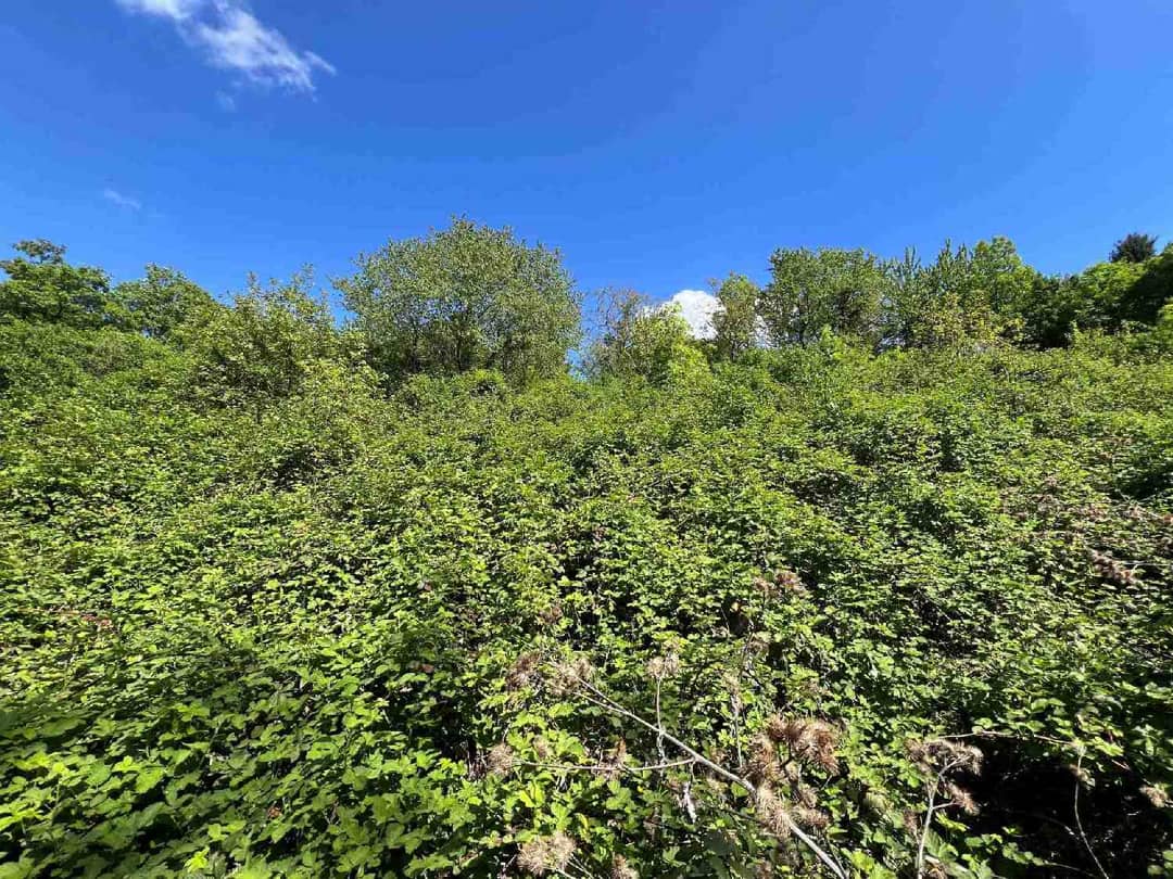 Approved Building Plot in Green Quiet Location