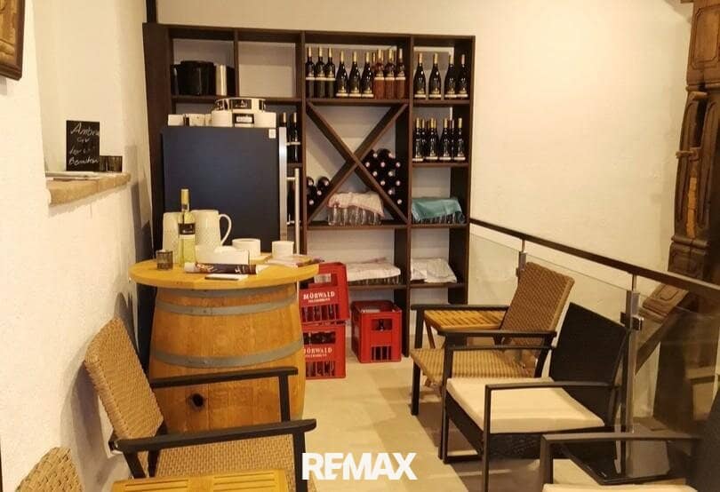 Renovated Cellar House with Vineyard on the Wagram