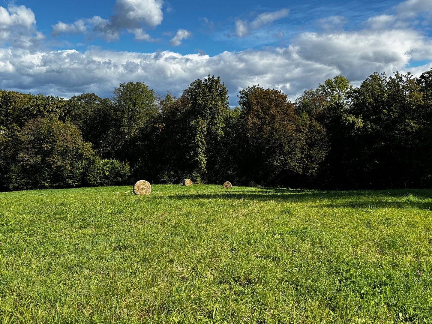 Baugrund in ruhiger Aussichtslage in Klöch, 946 m², Anschlüsse vorhanden