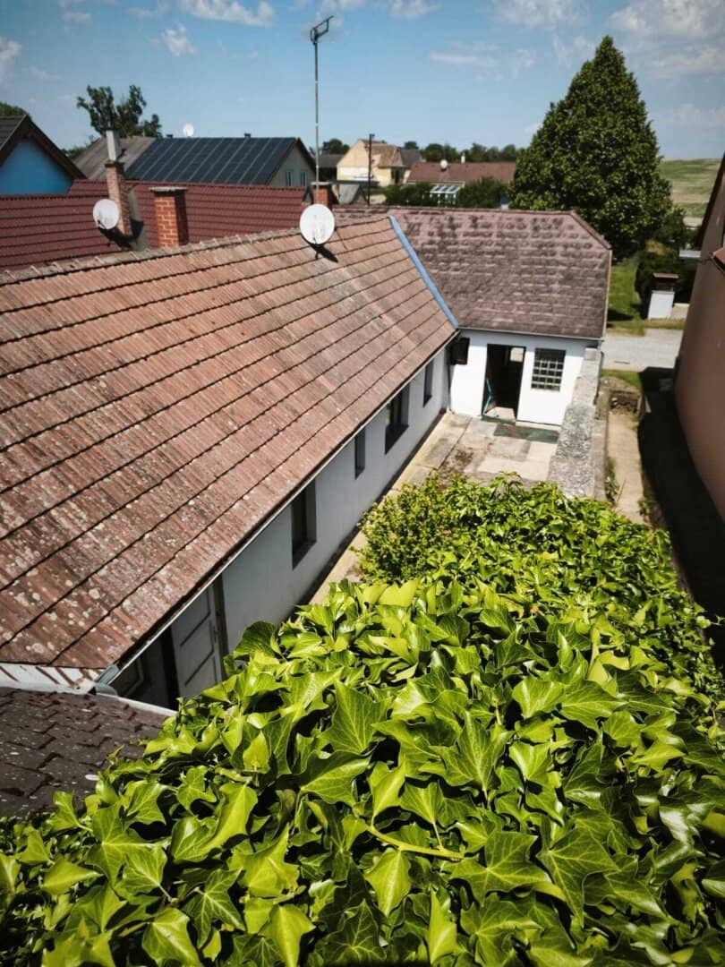 Immobilienbild 2