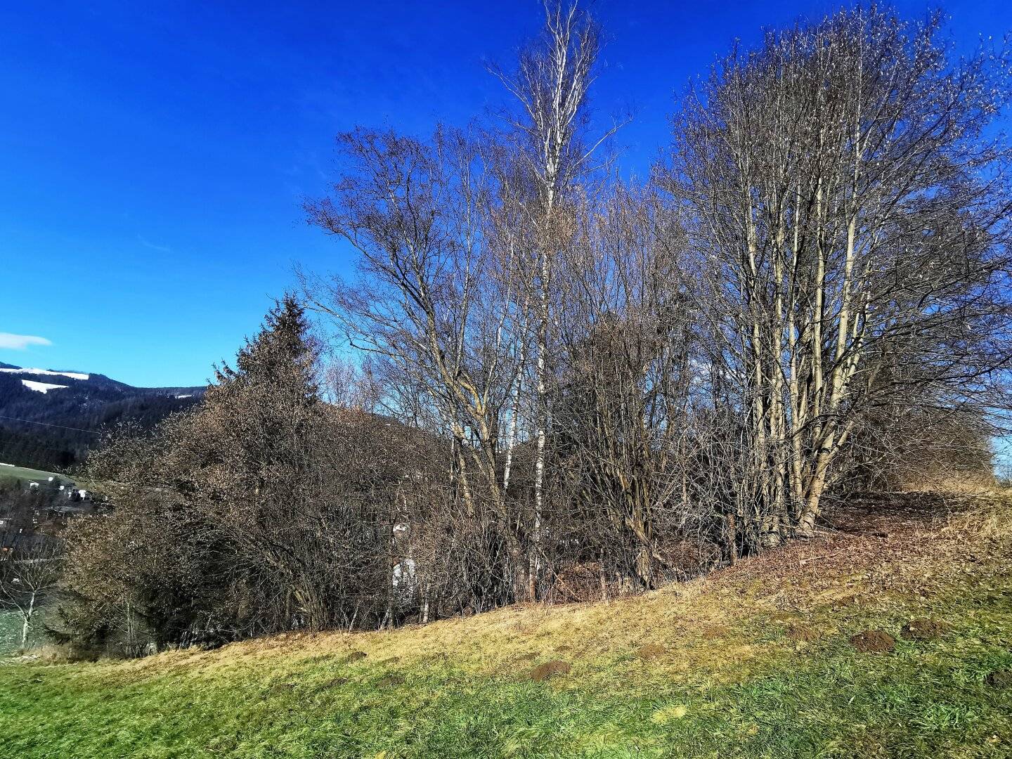 5,500 m² attractive open land directly adjacent to designated building land in German title format? No, keep original format: 5.500m² attraktives Freiland direkt anschließend an gewidmetes Bauland