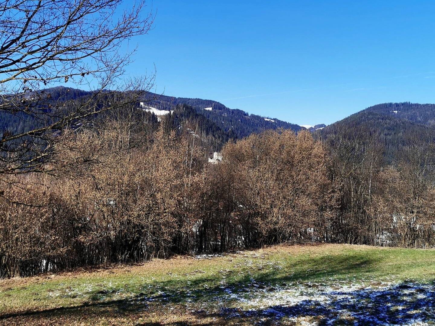 5,500 m² attractive open land directly adjacent to designated building land in German title format? No, keep original format: 5.500m² attraktives Freiland direkt anschließend an gewidmetes Bauland