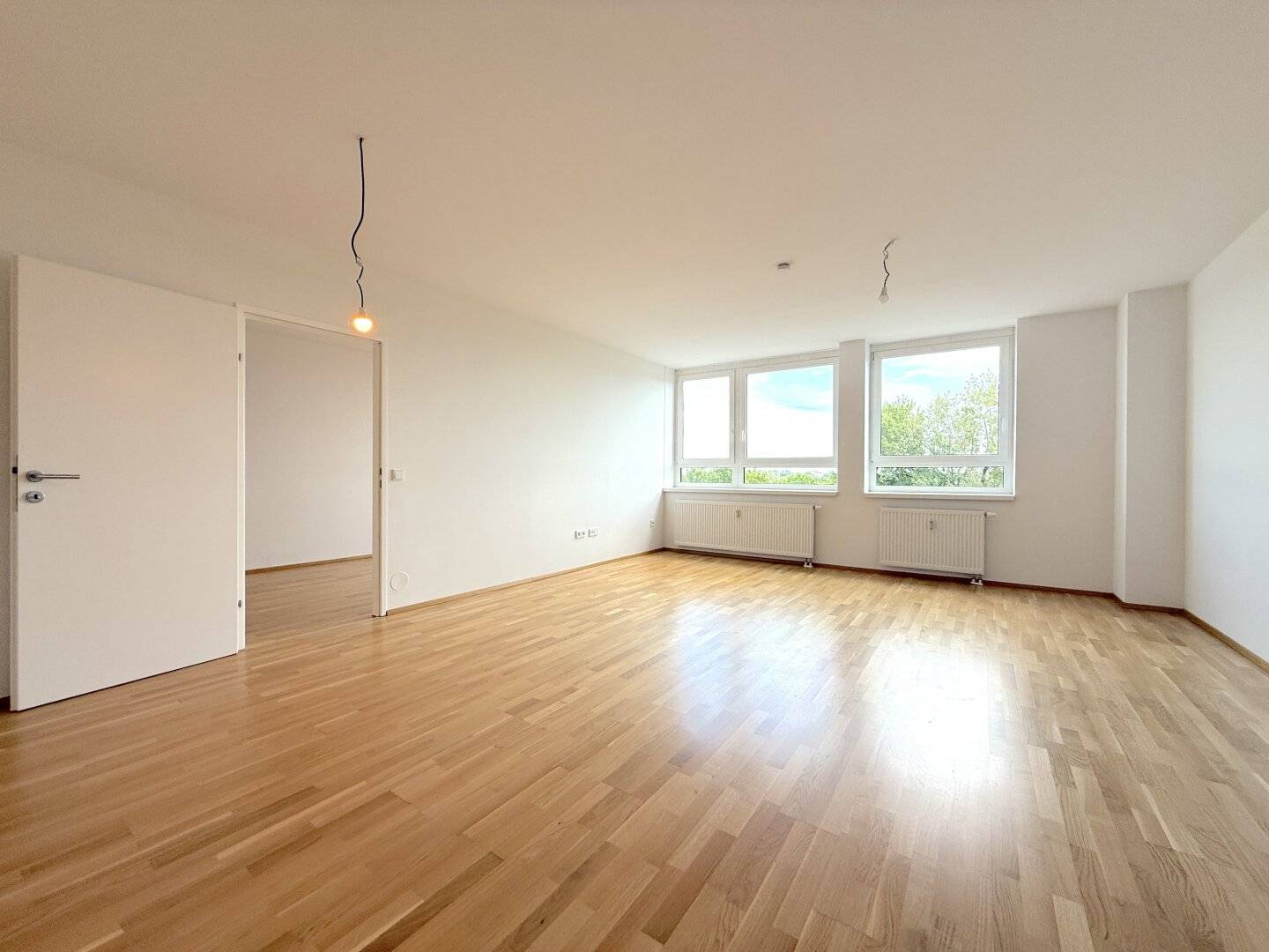 Donaublick Apartment | Two-room apartment with fitted kitchen and direct water view