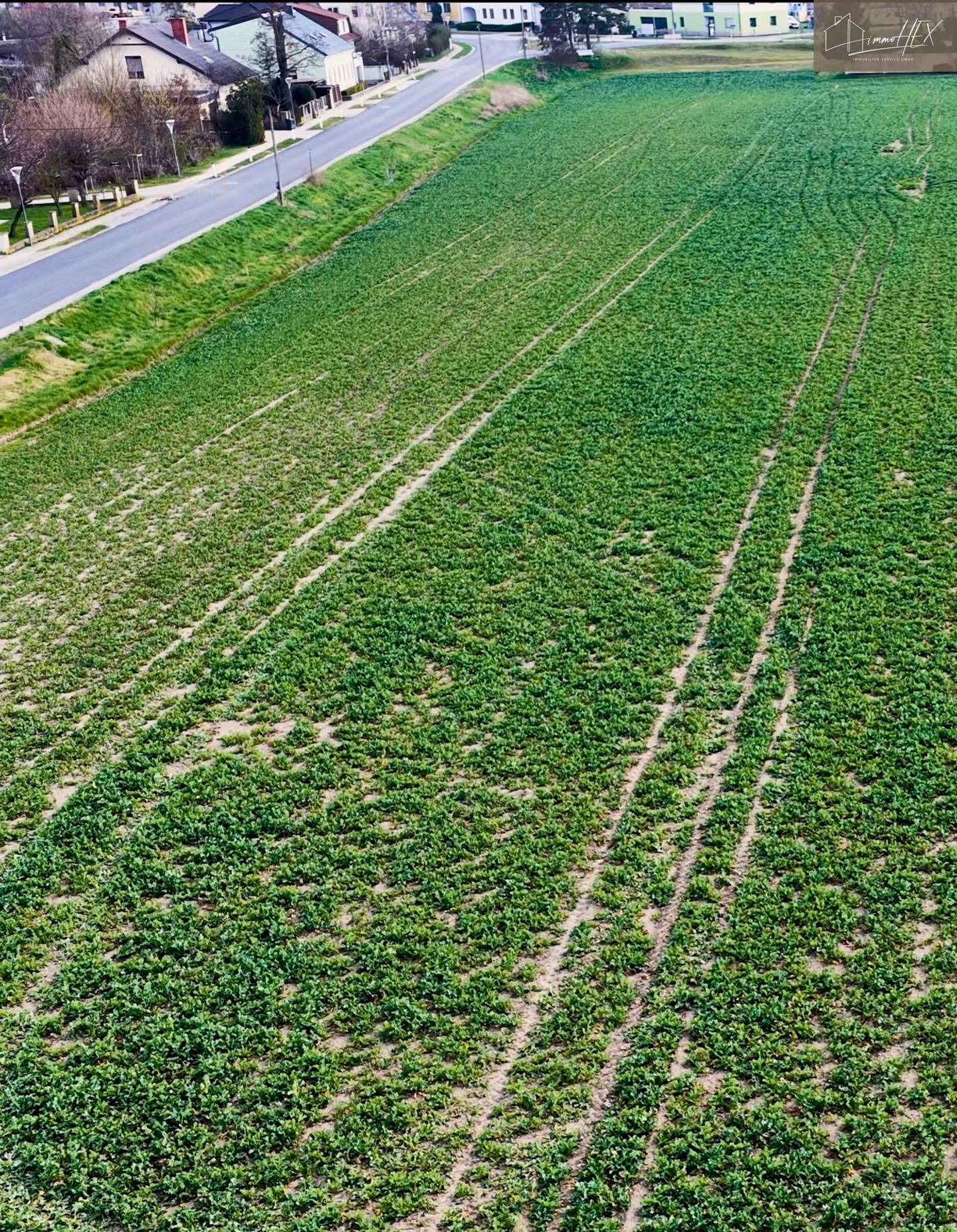 Baugrundstücke in ruhiger Randlage bei Groß-Enzersdorf