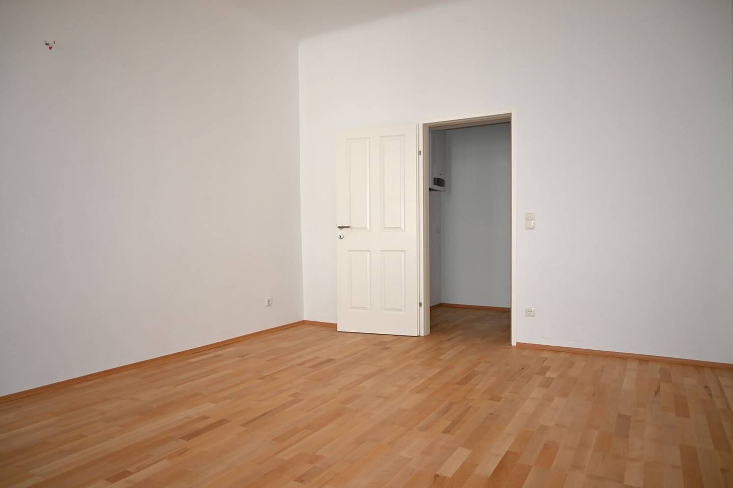 Wohnung modernisierte hofseitige ruhige Lage im Fasanviertel