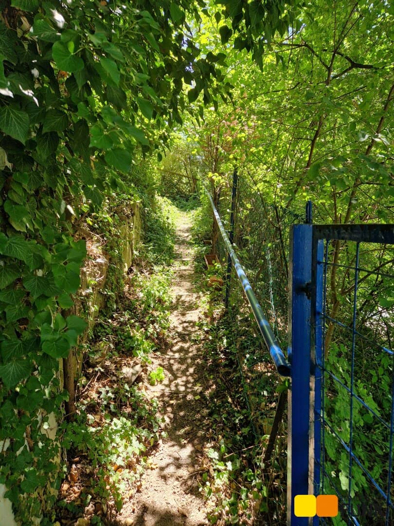 Grundstück mit Sommerhaus am Bisamberg