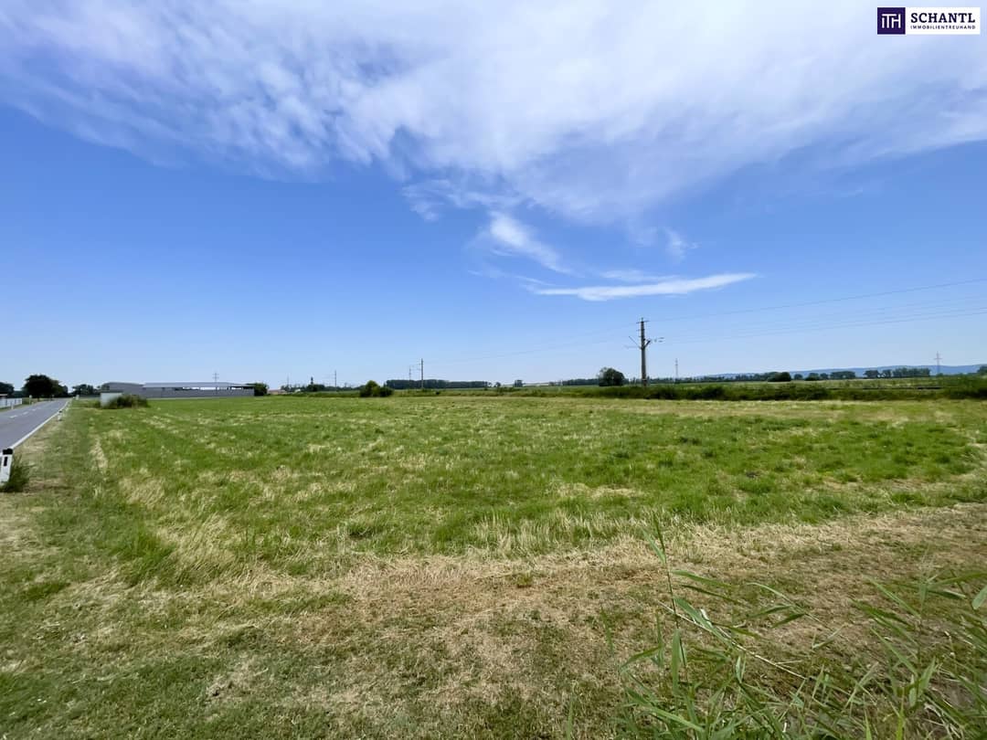 Commercial Plot at the Entrance of Mitterndorf an der Fischa