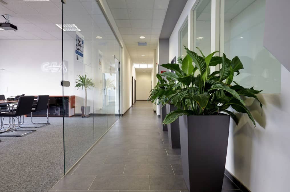 Commercial Park with Hall Storage and Office in Liesing