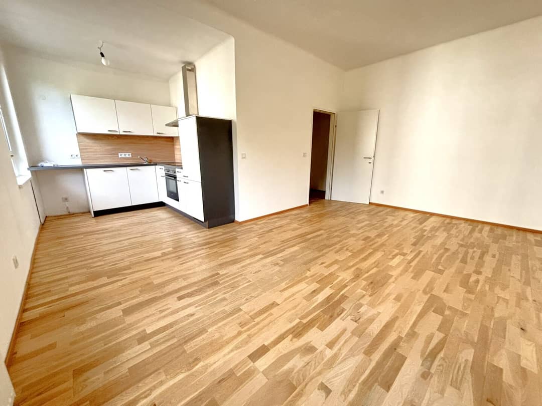 Apartment in quiet area near Danube promenade with furnished kitchen