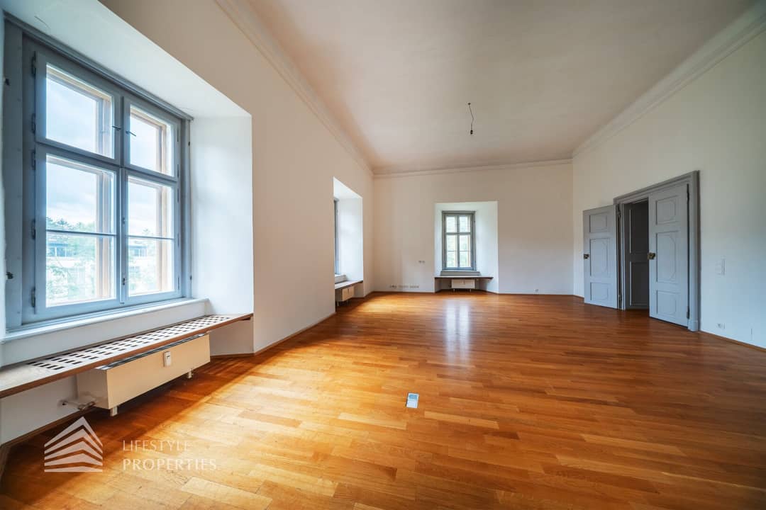 Old building apartment with spacious living room and fireplace