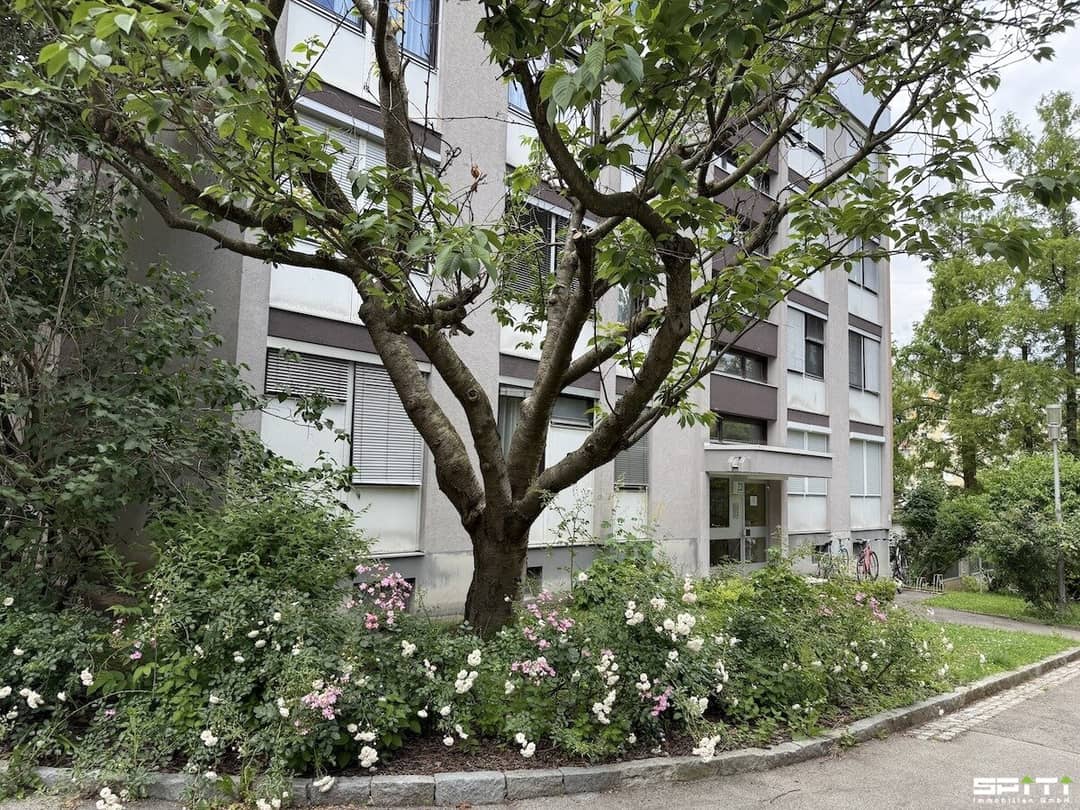 Wohnung mit Dachterrasse Westlage Lift