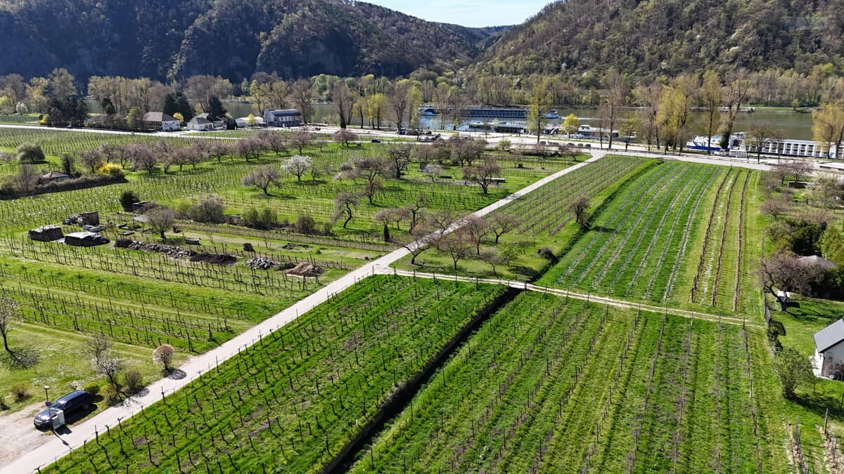 Traditionsreicher Winzerhof mit Pension und Heurigen in bester Wachau Lage