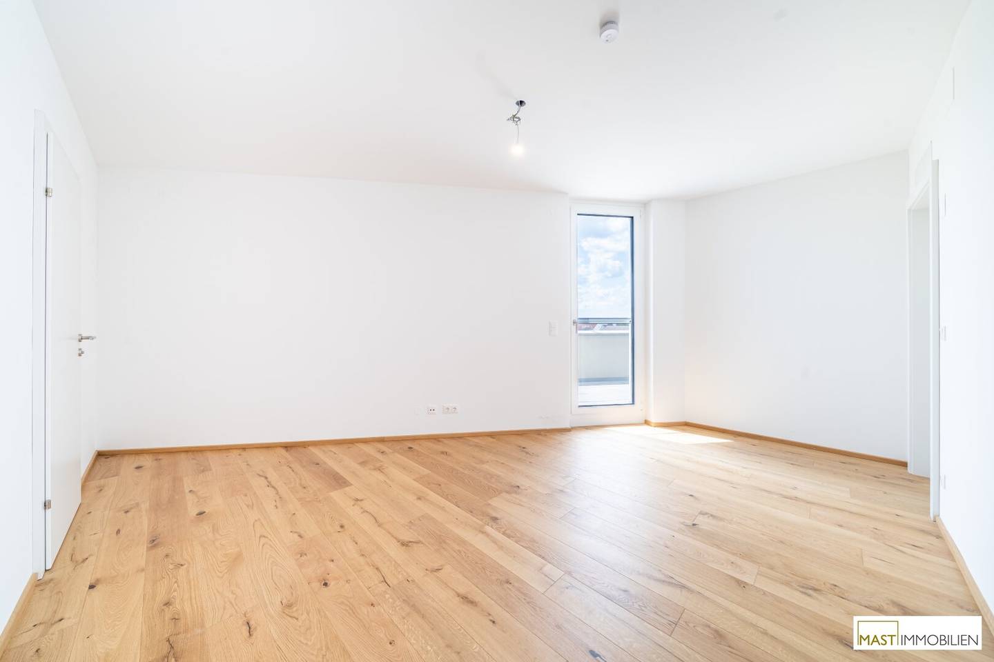 Attic apartment with large roof terrace