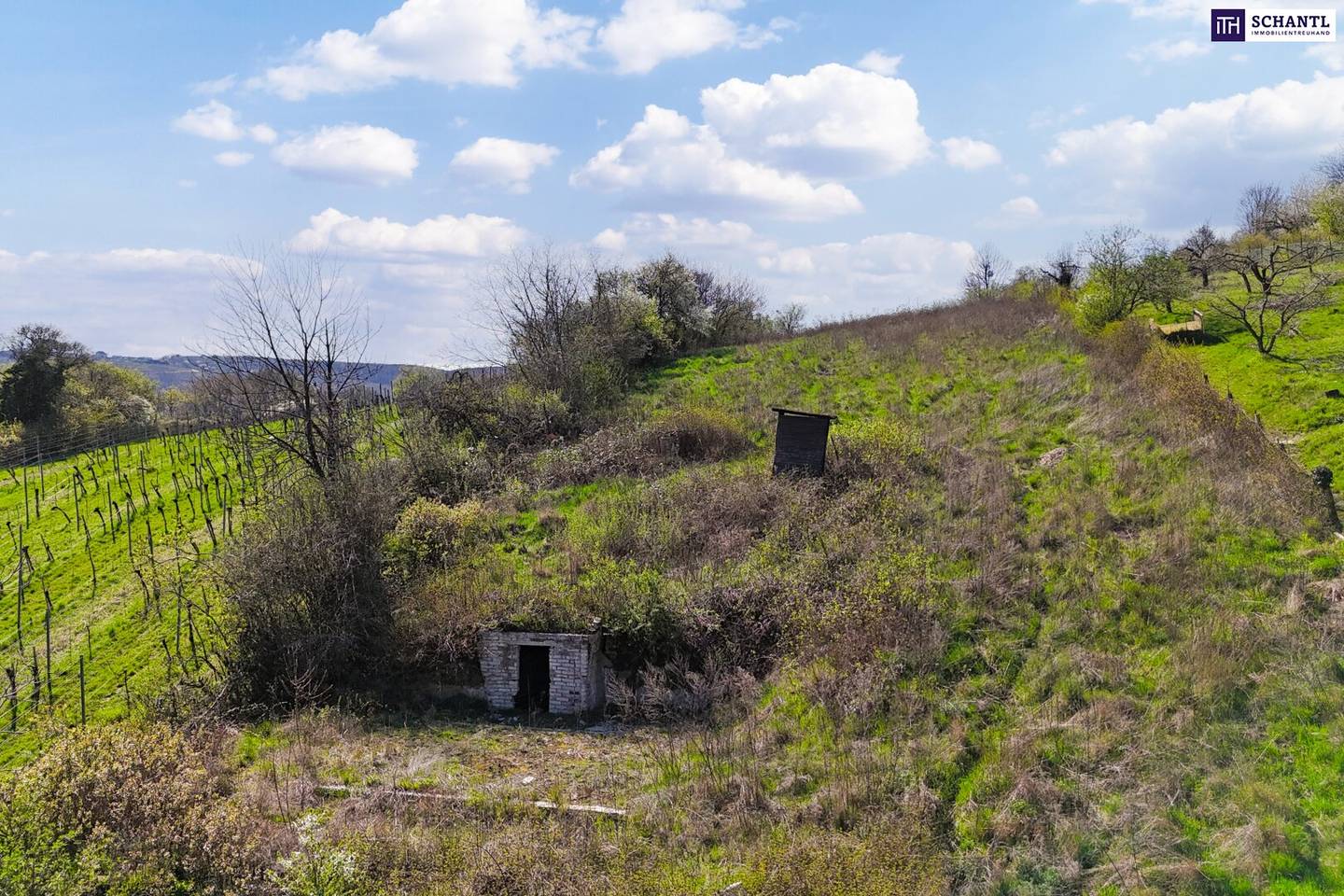 Baugrundstücke in Klosterneuburg mit Fernblick und Hanglage