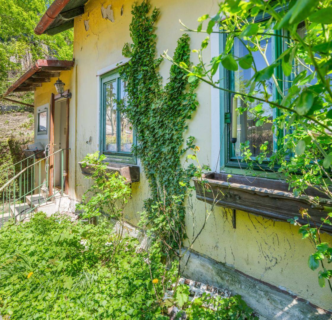 Sloped plot with forest edge location in Vienna