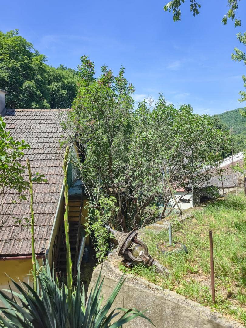 Sloped plot with forest edge location in Vienna