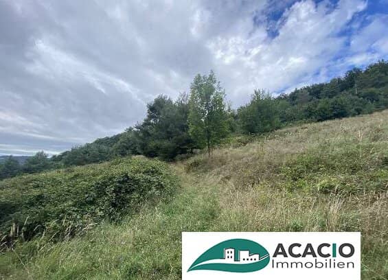 Baugrundstück in Premiumlage mit Fernblick in Altlengbach