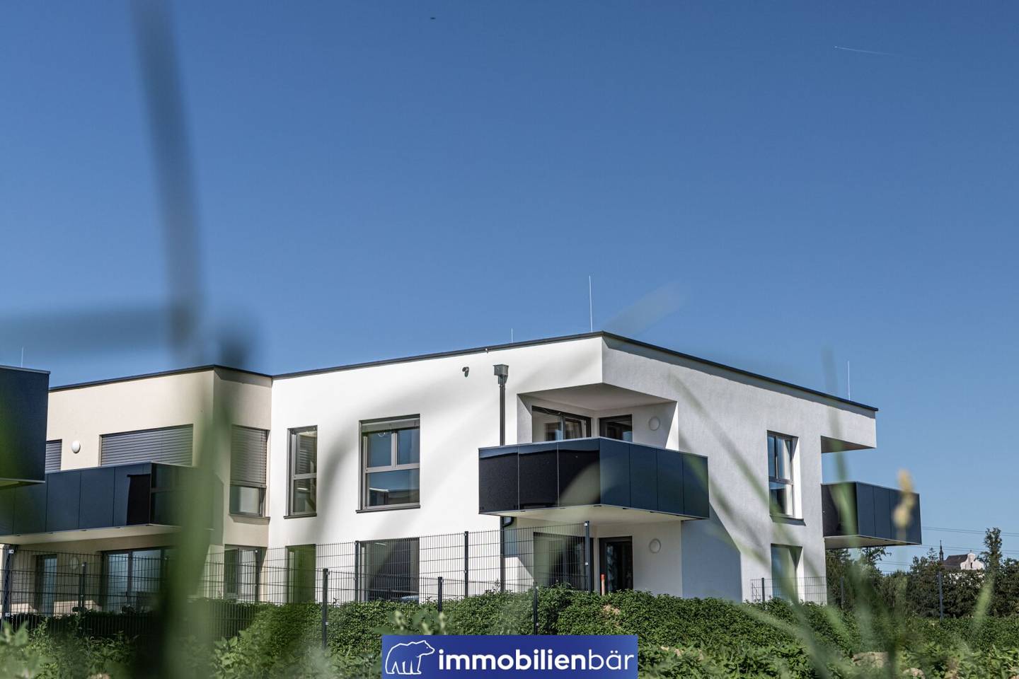 Immobilienbild 3