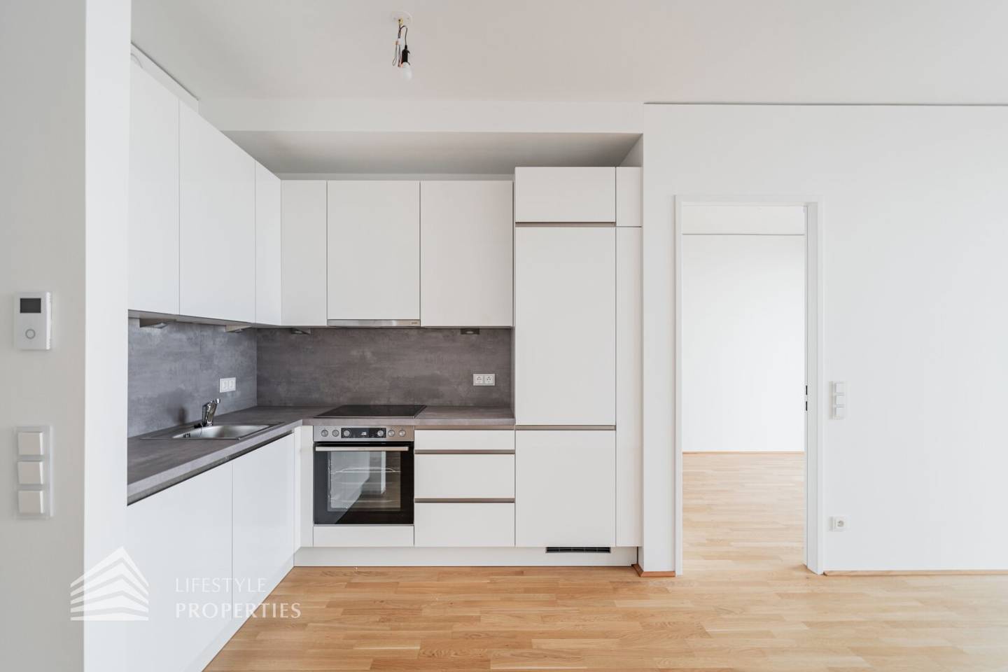 Newly built apartment with Donauinsel view