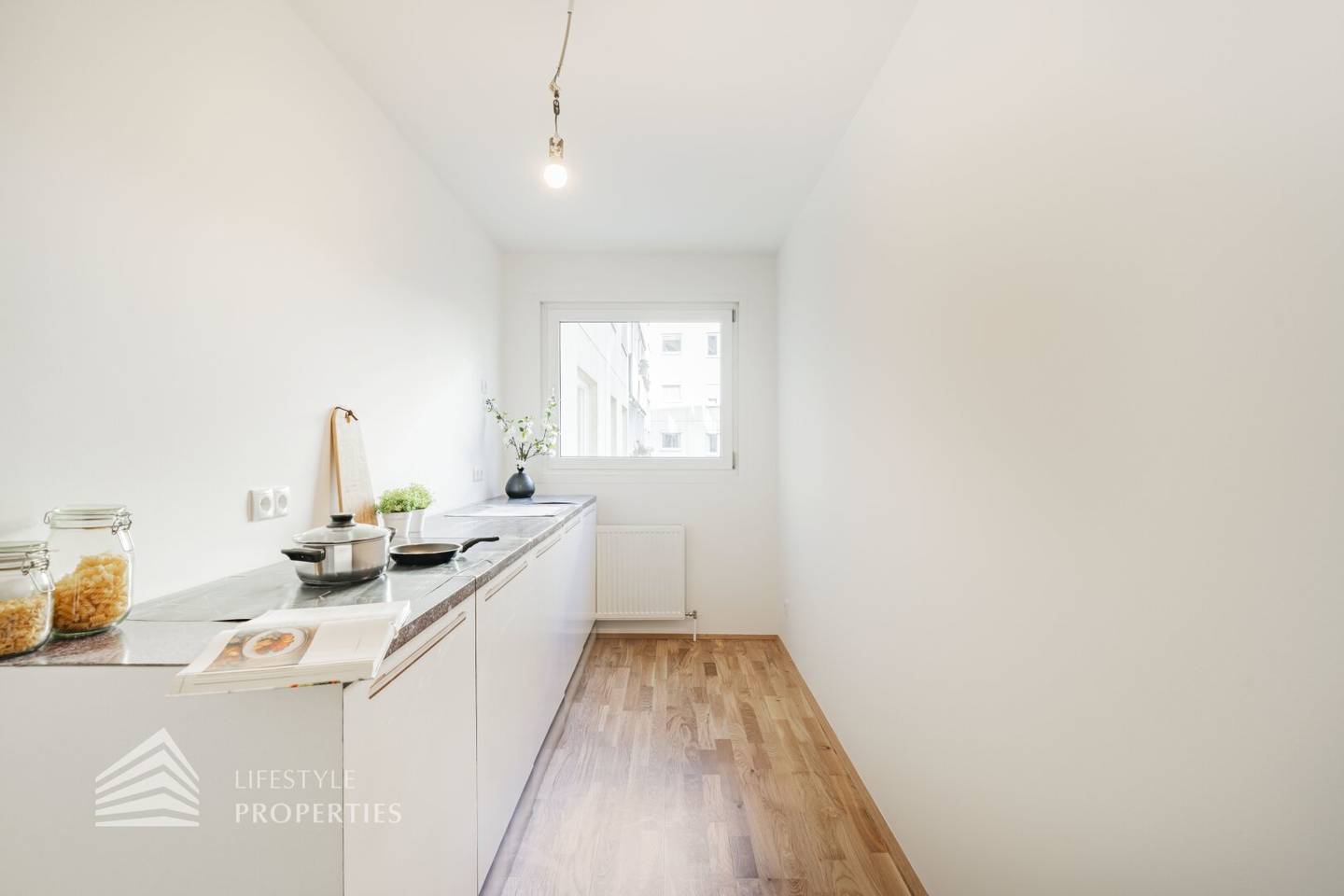 Renovated investor apartment near Belvedere Palace
