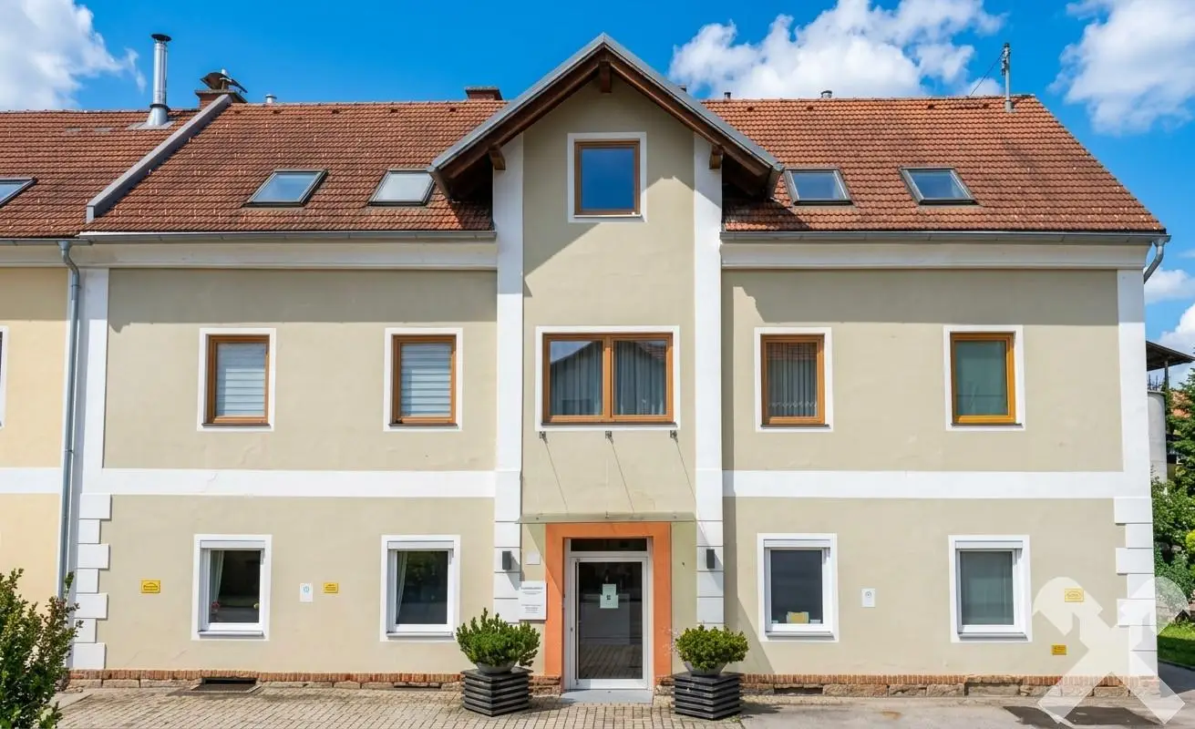 Investment apartment with existing tenant
